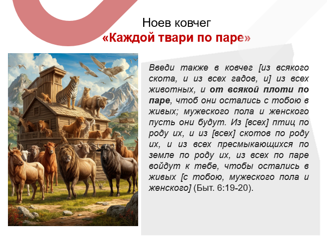 Снимок экрана 2025-09-04 011654.png